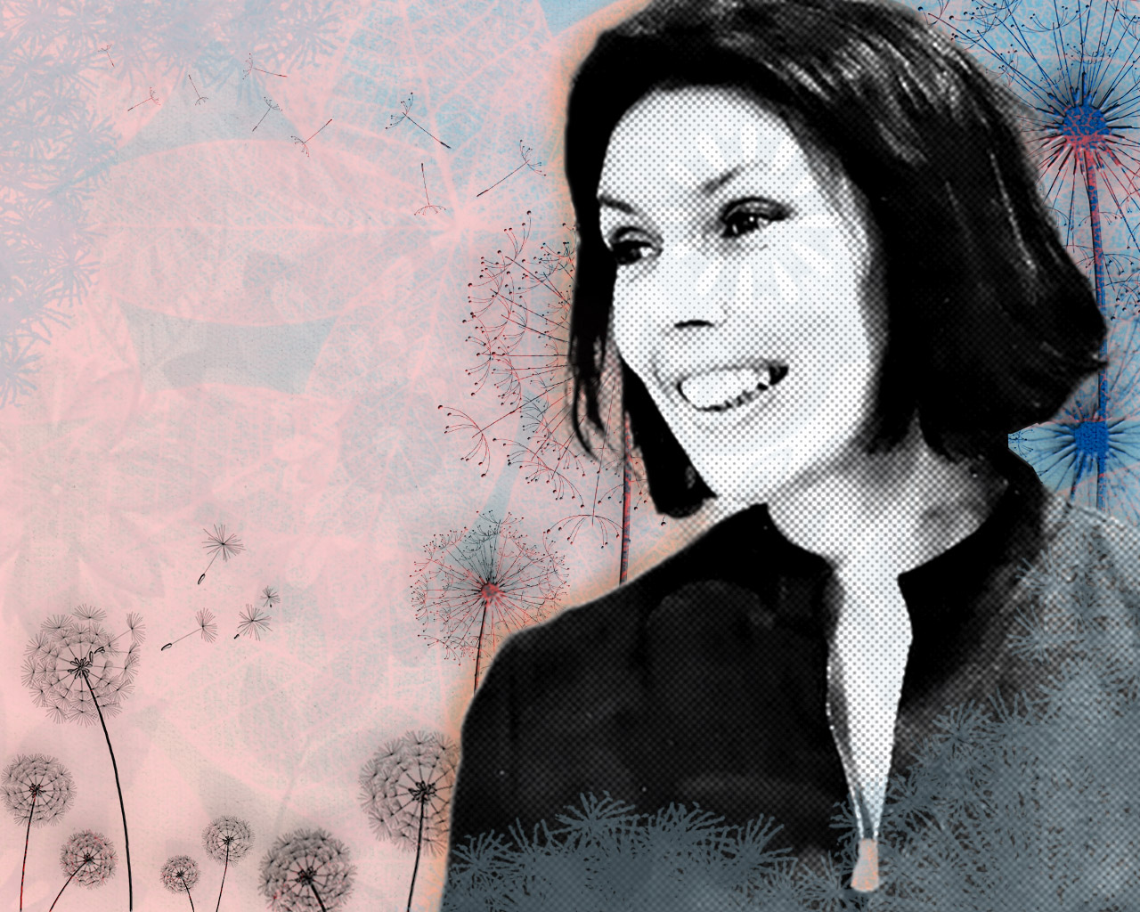 La rosa en el viento